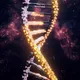 GENESIS UNIVERSE GENE