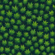 #420
