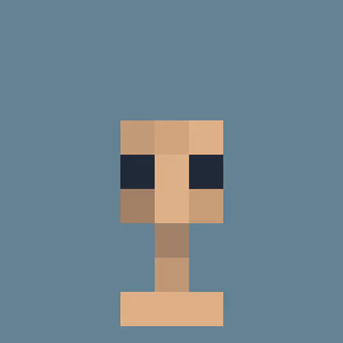PiXeLs 1/1 PFPs