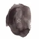 Ink Rrocks