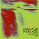 Niagara Sketch Remixes