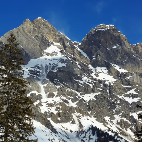 A lil' Swiss Avalanche