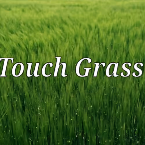 Touchgrass