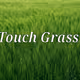 Touchgrass