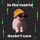 Matrix Cat