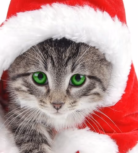 santa)