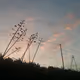 Lines