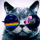Kitty