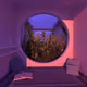 Stellar Quest