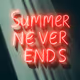 Summer Never Ends