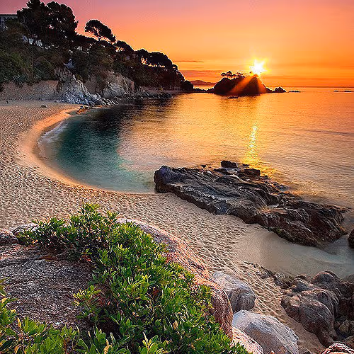 sunset