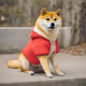 Jacket Doge