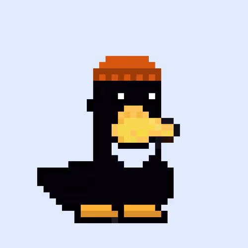 Rawducks