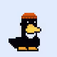 Rawducks