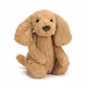 Base Test Puppy