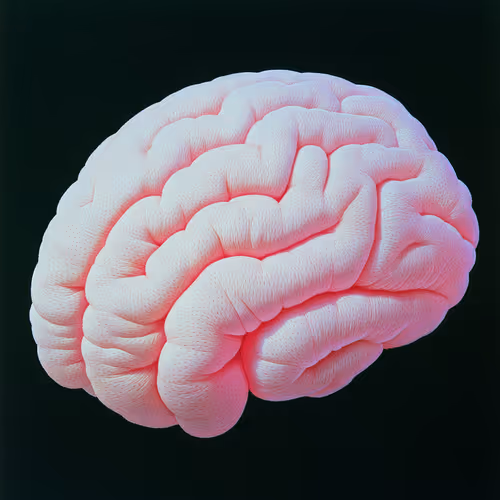 fresh mind 3