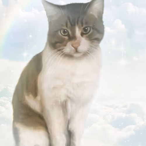 We will not forget you Eros