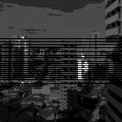 ASCII Life