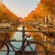 Amsterdam Autumn