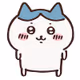 hachi