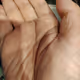 My Palm