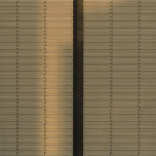 Parallel Dreambinders