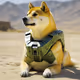 Spartan Doge