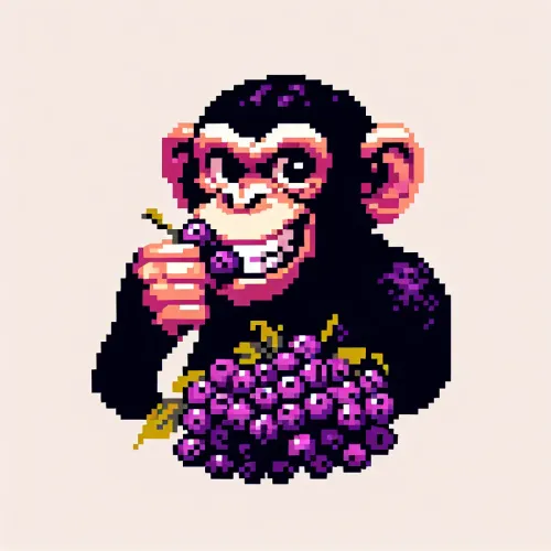 Summer Chimp