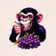 Summer Chimp