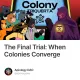 The Final Trial: When Colonies Converge