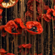 Poppies