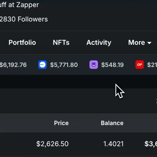 Zapper Features - Network Menu