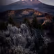 Wonderful Nights