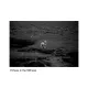 Echoes in Stillness
