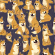 Doge