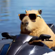 Capybara