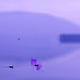 Shielded Serenity