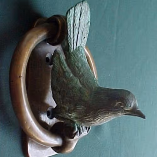 bird