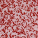 Blood Bank Genesis Only 100 NFT