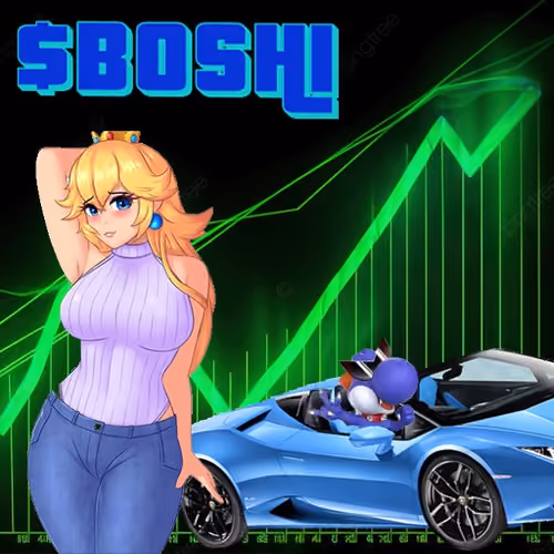 Boshi on chain