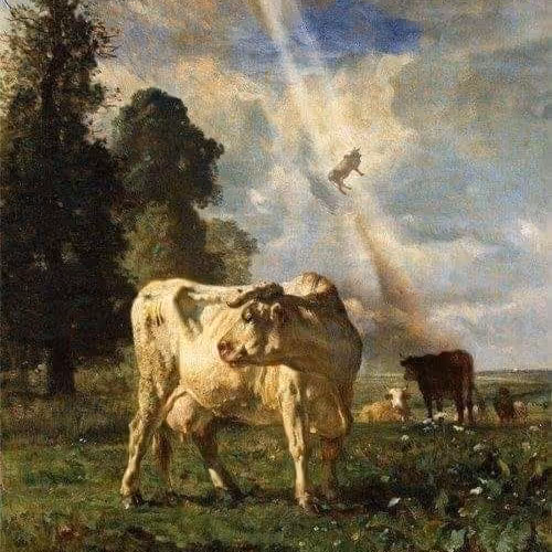 cow