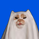 Boo!