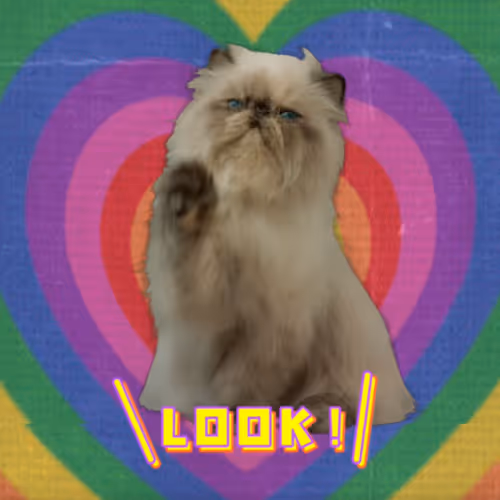 Cute Kitty Meow
