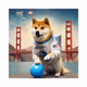 Doge Loves Base in San Francisco