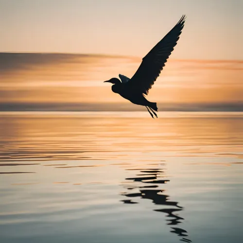 Flight into the Horizon