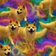 Fractal Rainbow Doge