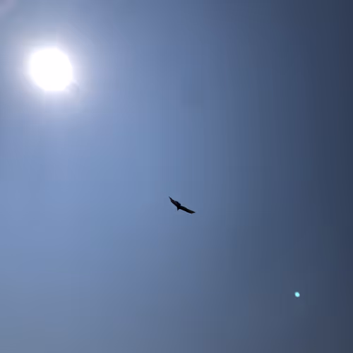 0x5df0cbeb5186e0c56da8df1ec08d9ada338a1f73