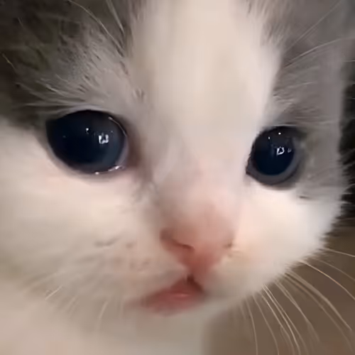 ah