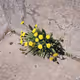 Nothing But Flowers