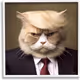 MAGA CAT
